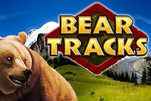 Bear Tracks